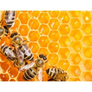 Μελισσοκέρι  γνήσιο 80γρ